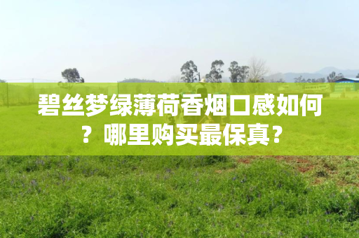 碧丝梦绿薄荷香烟口感如何？哪里购买最保真？